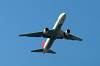 haneda_6979_mini.jpg