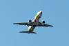 haneda_7039_mini.jpg