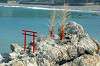 hayama_0261_mini.jpg