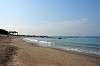 hayama_0315_mini.jpg
