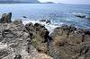 hayama_0341_mini.jpg