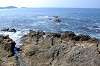 hayama_0342_mini.jpg