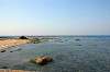 hayama_0408_mini.jpg