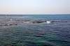 hayama_0416_mini.jpg