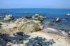 hayama_0505_mini.jpg