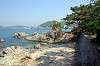 hayama_0513_mini.jpg