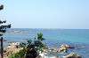 hayama_0567_mini.jpg