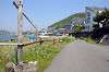 hayama_0667_mini.jpg