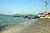 hayama_0725_mini.jpg