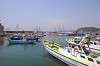 hayama_0828_mini.jpg