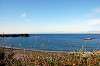 hayama_0830_mini.jpg