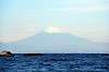 hayama_0882_mini.jpg