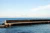 hayama_0948_mini.jpg