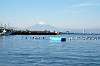 hayama_1060_mini.jpg