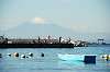hayama_1061_mini.jpg