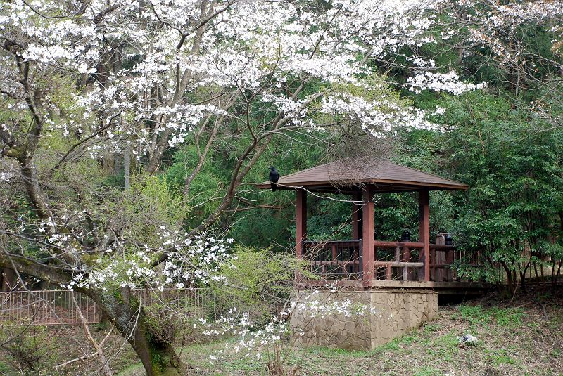 むじな池のあずま屋