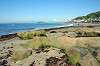 kamakura_sea_0246_mini.jpg