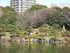 kiyosumi_0117_mini.jpg