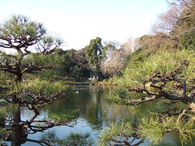 中の島からの眺め