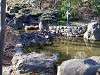minatono_0178_mini.jpg