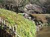 mitsuike_0245_mini.jpg