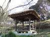 mitsuike_0525_mini.jpg
