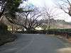 mitsuike_0591_mini.jpg