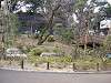 nogeyama_0579_mini.jpg