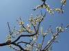 okurayama_0222_mini.jpg