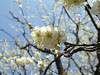 okurayama_0262_mini.jpg