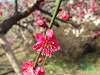 okurayama_0735_mini.jpg