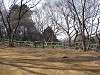 okurayama_0892_mini.jpg
