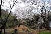 okurayama_1024_mini.jpg