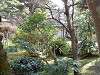 sankeien_0032_mini.jpg