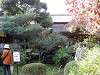 sankeien_0034_mini.jpg