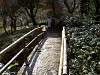 sankeien_0119_mini.jpg