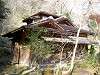 sankeien_0124_mini.jpg