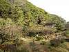 sankeien_0140_mini.jpg