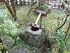 sankeien_0156_mini.jpg