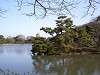 sankeien_0189_mini.jpg