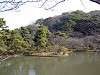 sankeien_0190_mini.jpg