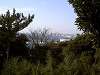 sankeien_0216_mini.jpg