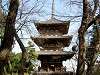 sankeien_0228_mini.jpg