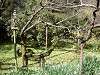 sankeien_0260_mini.jpg