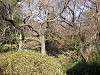 sankeien_0280_mini.jpg