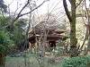 sankeien_0295_mini.jpg
