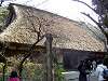 sankeien_0301_mini.jpg