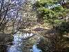 sankeien_0338_mini.jpg