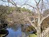sankeien_0354_mini.jpg