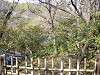 sankeien_0359_mini.jpg